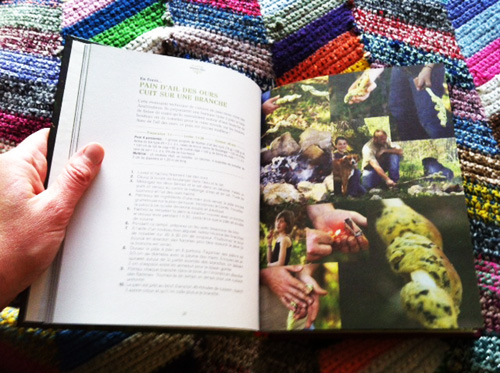 photo1 l'appel de la forêt - vue intérieur