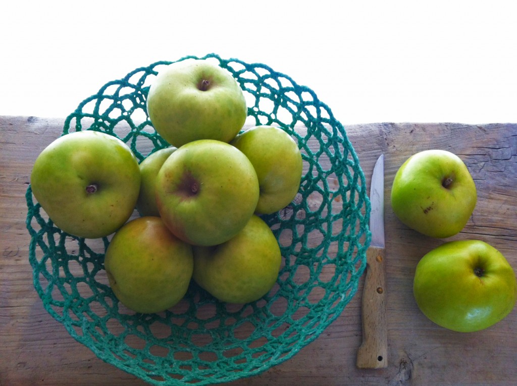 pommes variété teint frais